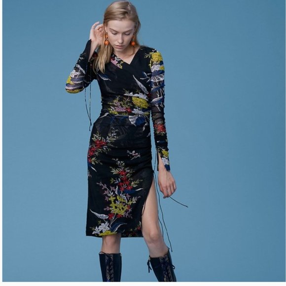 Diane Von Furstenberg Dresses & Skirts - Diane Von Furstenberg Mesh Ruched Camden Dress Size: L | US 10